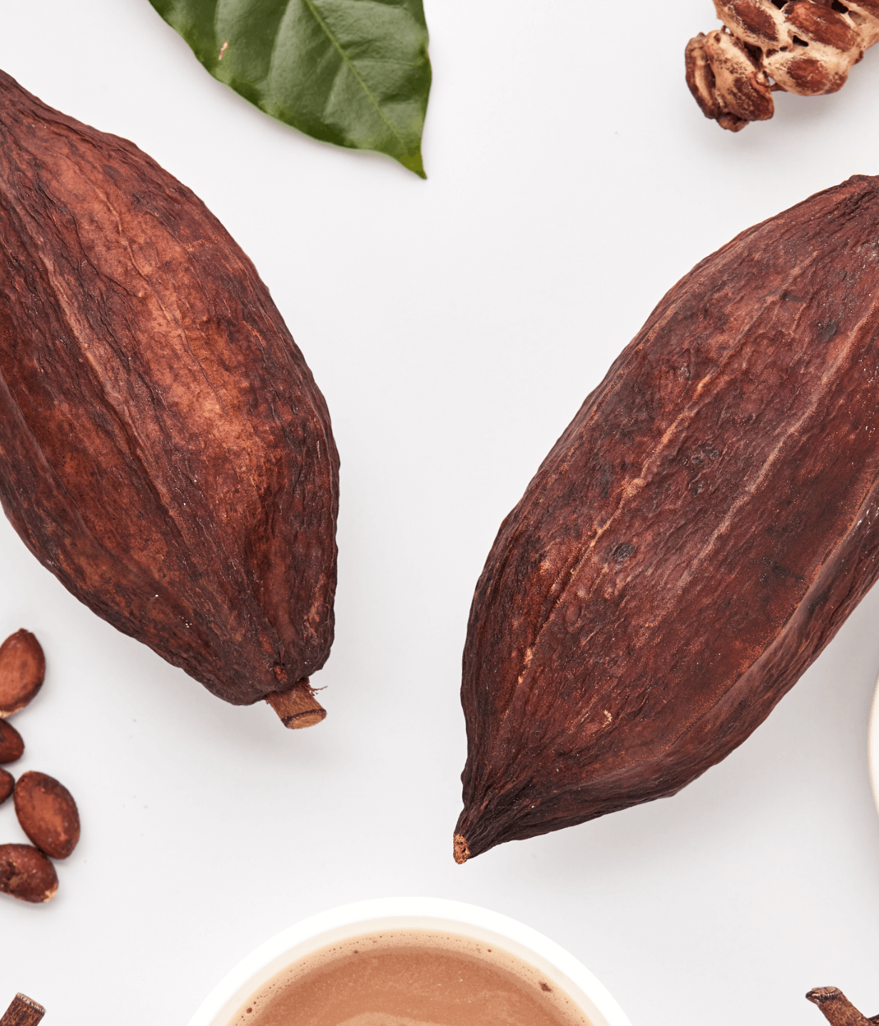 Go Relax – organic instant Cocoa with Chanterelle & Reishi - Slika 6